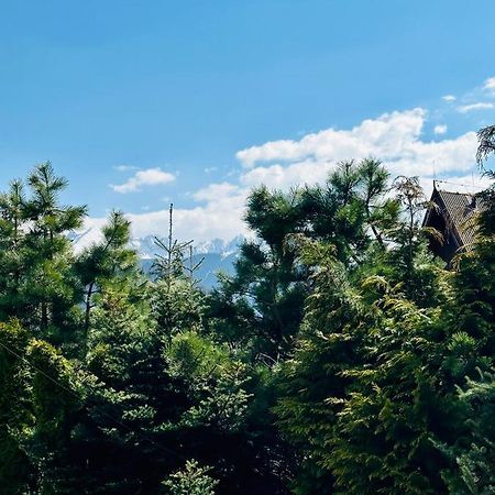 Swarny Zakatek Apartamento Zakopane Exterior foto