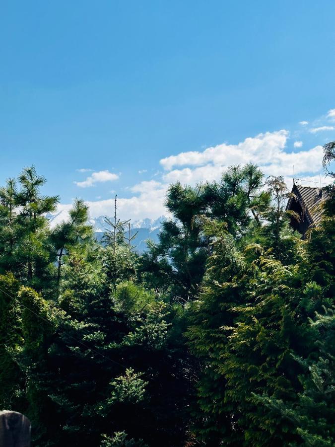 Swarny Zakatek Apartamento Zakopane Exterior foto